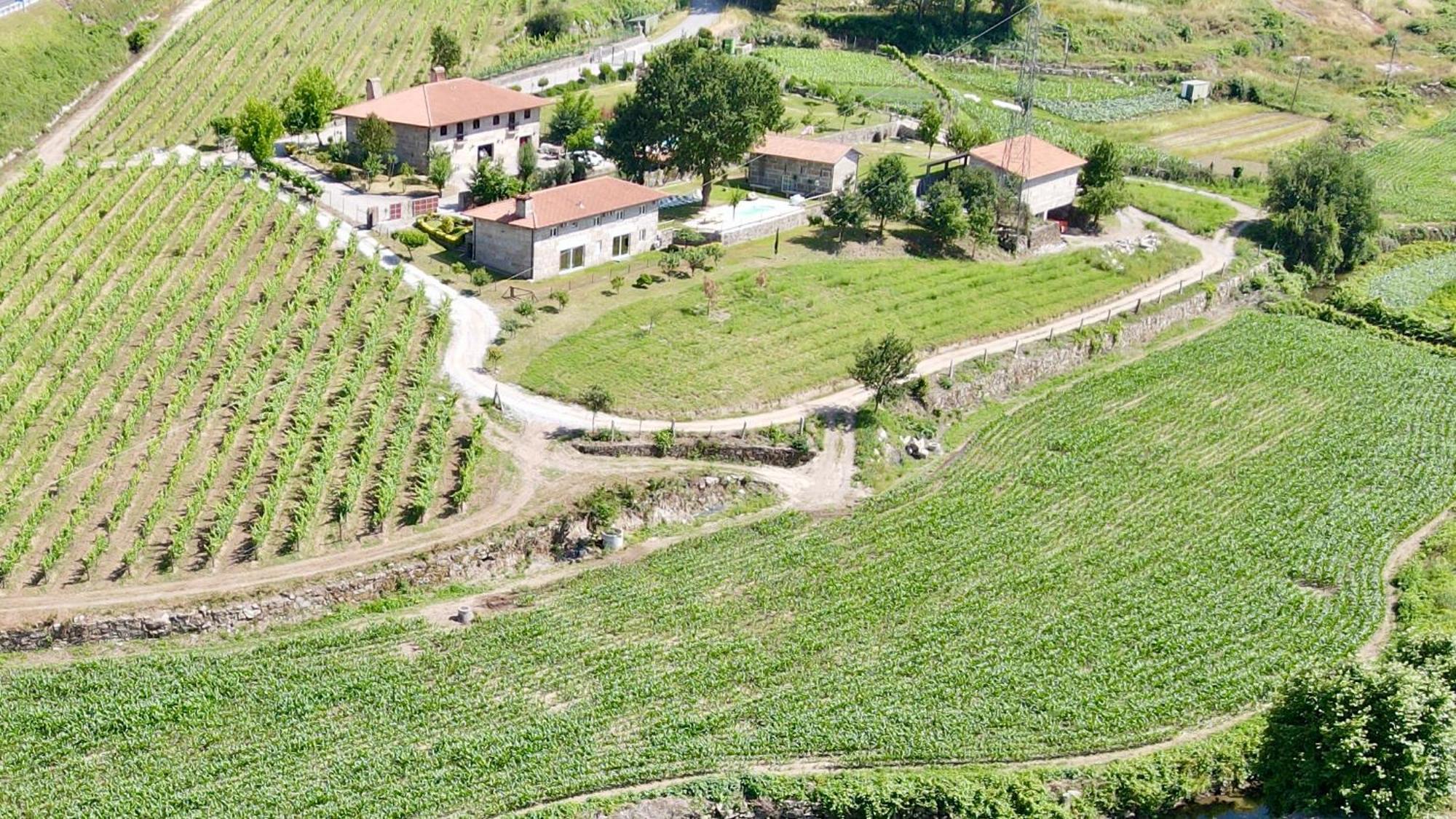 فيلا Quinta De Carvalhal - Casa Da Vinha غيمارايش المظهر الخارجي الصورة